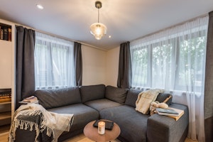 Douglas Fir image 3