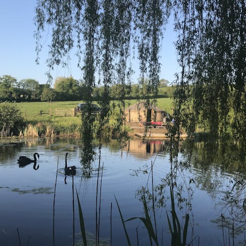 Revitalise the senses with an invigorating dip in the lake