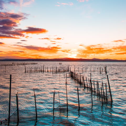 Take to the trails at Albufera nature reserve, 14km away