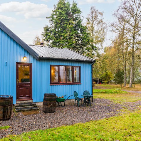 Enjoy the peace and seclusion in your garden surrounded by trees