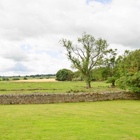 Sit and soak up the tranquil setting with a cuppa in your walled garden