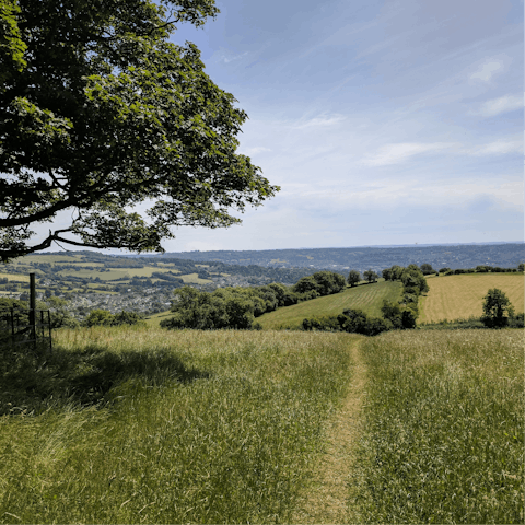 Embark on meandering walks across the Somerset countryside