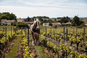 The French House image 15