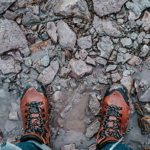 Explore the Alt Pirineu Natural Park