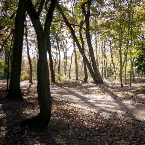 Explore the nearby Bois de Boulogne on foot or by bike