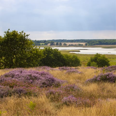 Stay on the edge of the Suffolk Heaths when you settle into Woodbridge