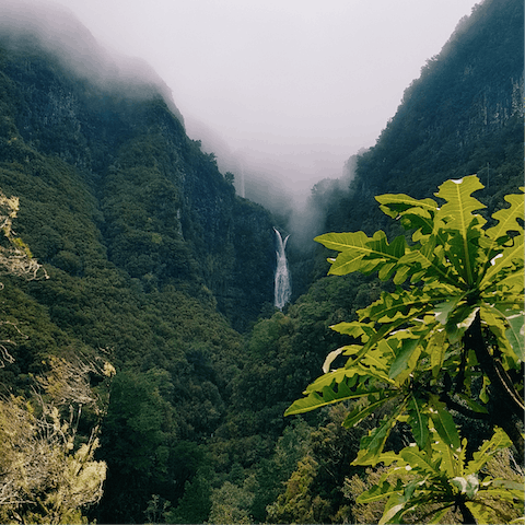 Head for the hills to uncover Madeira's scenic natural beauty