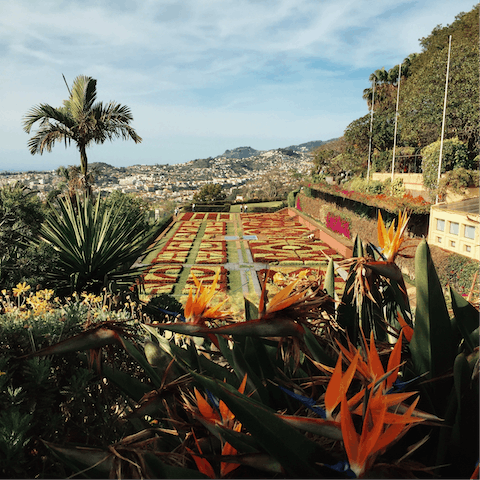 Discover Funchal in all its verdant and colourful splendour