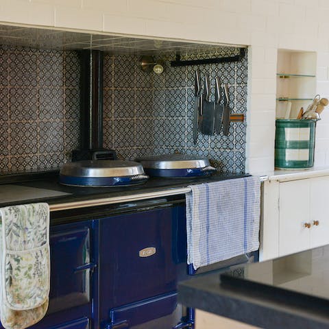 Cook something delicious on the AGA