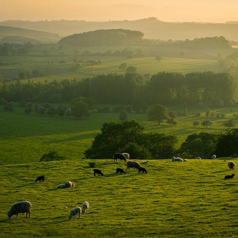 Explore the idyllic rolling countryside of Hertfordshire