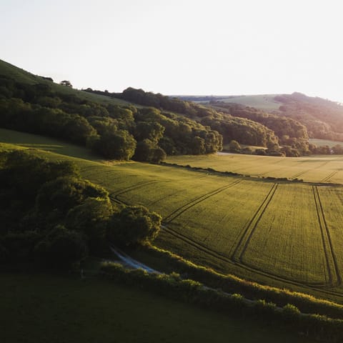 Have a hike in the South Downs National Park on your doorstep