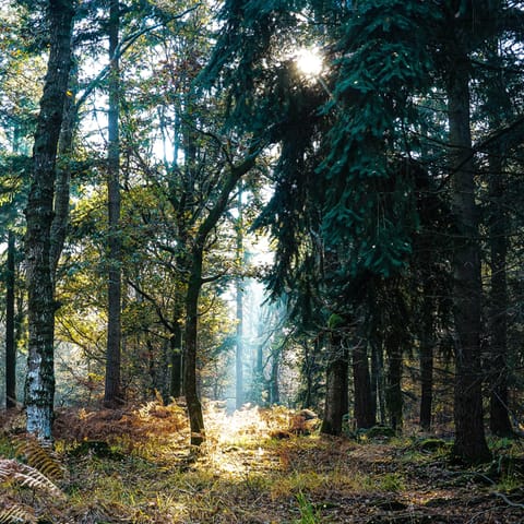 Step out of your front door and start hiking