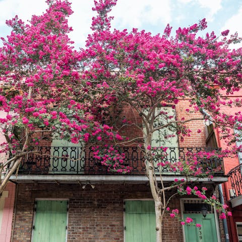 Explore the historic Lower Garden District of New Orleans