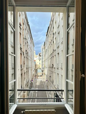 Bohemian Parisians image 14