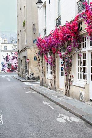 Bohemian Parisians image 5