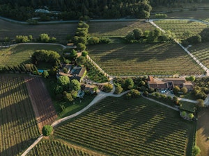 Breakfast Among the Vines image 6