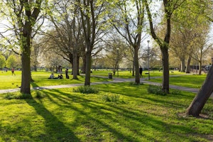 Get in the Grove image 11