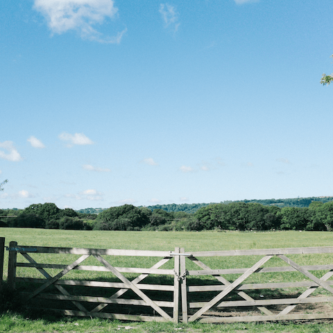 Watch the horses at the nearby paddocks