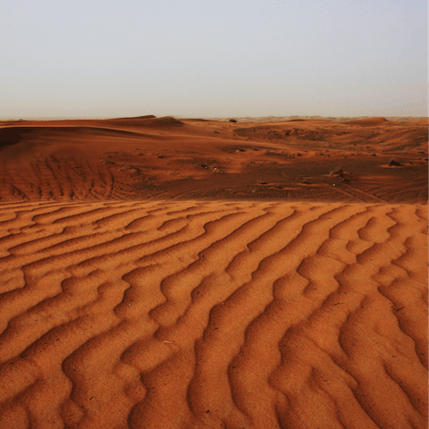 Make unforgettable memories in the Qudra Desert, not far from here