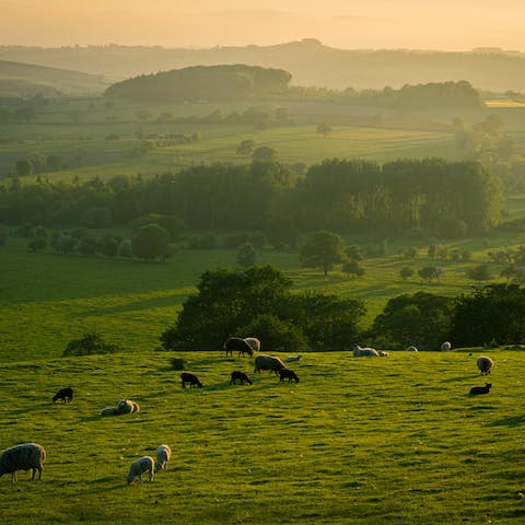 Embark on countryside walks through Oxfordshire