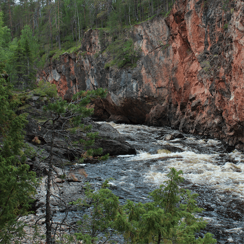 Explore the beautiful landscapes of Sotkamo, right on your doorstep
