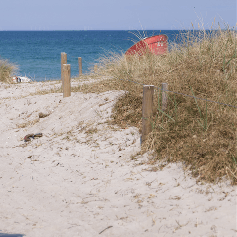 Visit Zingst, a fifteen-minute drive away, for a dip in the Baltic Sea