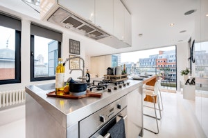 The Central Penthouse image 4