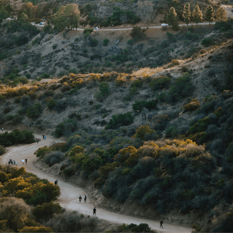 Stretch your legs with a hike around Griffith Park, a short drive away