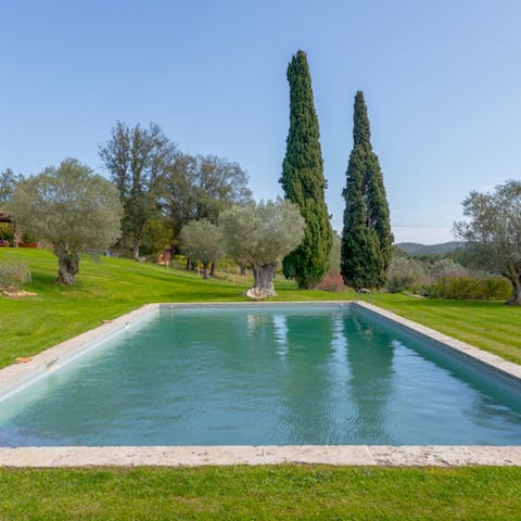 Escape the Spanish heat in the private swimming pool