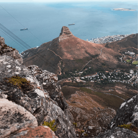 Hike to the summit of Table Mountain, a short drive away