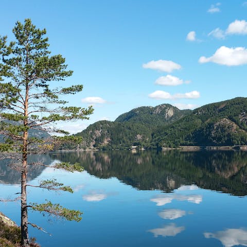 Enjoy the peace of the Norwegian wilderness