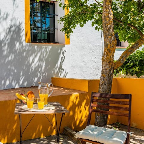 Find one of the many seating spots in the shade of an orange tree
