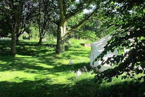 The Free Ranger image 7