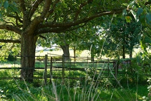 The Free Ranger image 5