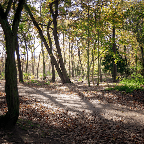 Enjoy an afternoon strolling around Bois de Boulogne, fifteen minutes from your building