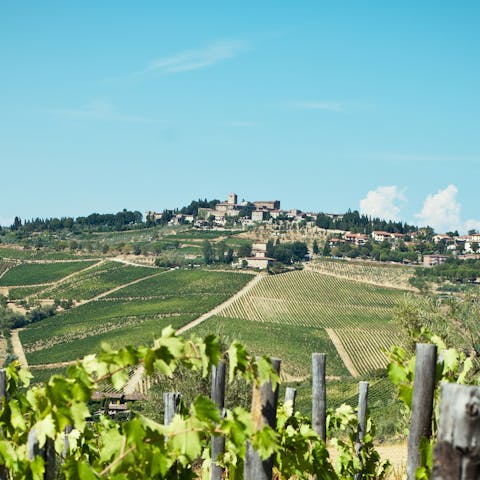 Explore beautiful hilltop villages across Chianti