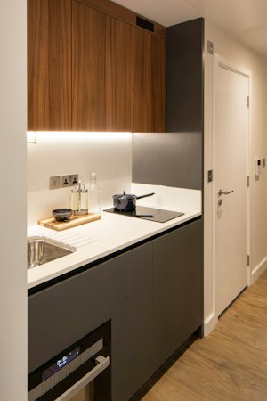 The Modern Nest image 4