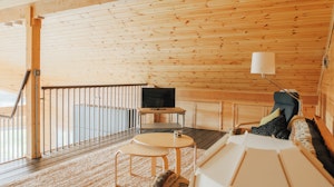 Ty Log image 13