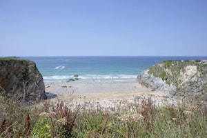 Sweet Nightingale image 6