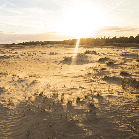 Visit the beautiful Veluwe National Park, just a short drive away