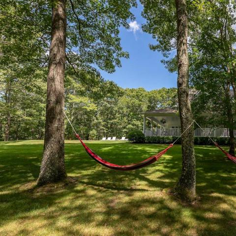 Relax beneath the trees in a hammock