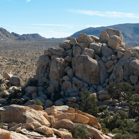 Drive for ten minutes to reach the entrance of Joshua Tree National Park