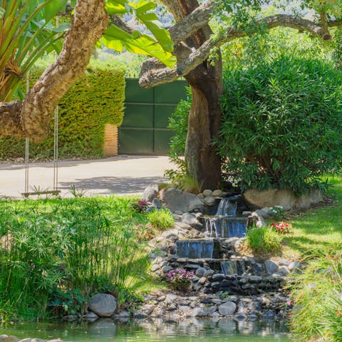 Walk around in the shared gardens and spot little details such as the water feature and tree swing