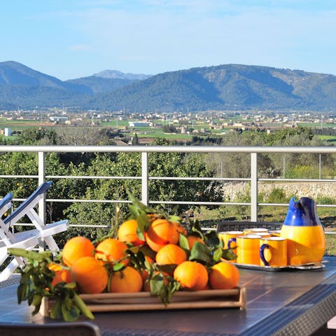 The hosts are very friendly and helpful and will go out of their way to make sure you have a great stay.