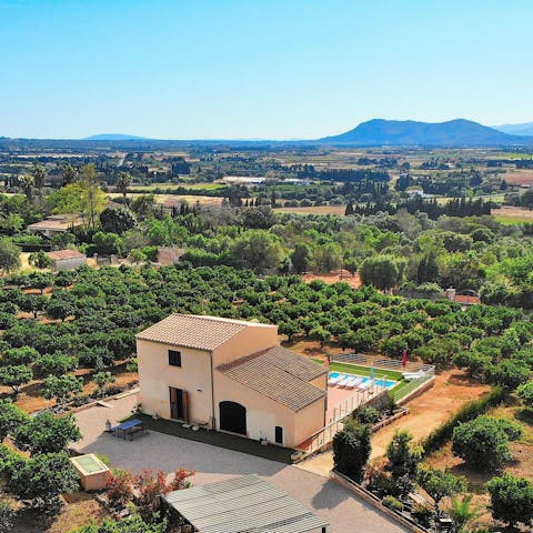 The house is nestled on a hill with stunning views of the mountains and the surrounding orange groves.