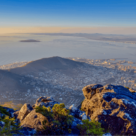 Take a cable car to the peak of Table Mountain