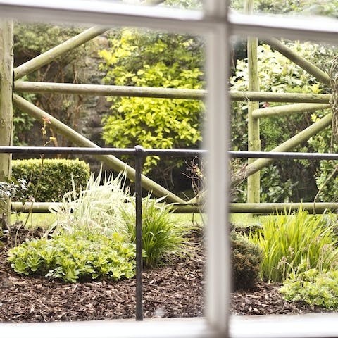 Gaze on the private garden from the windows in the living area