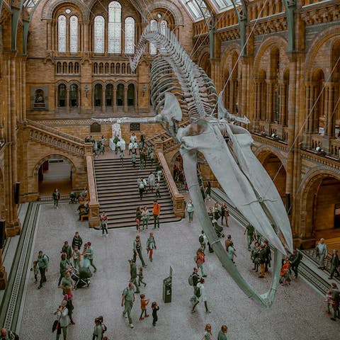 Hop on the tube to South Kensington and explore the Natural History Museum – it's 17 minutes away