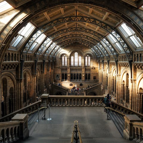 Get lost in the wonders of London museums