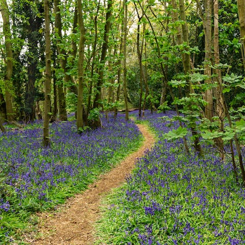 Stay on the edge of Dedham Vale AONB, just a short drive from Polstead and Hadleigh